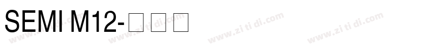 SEMI M12字体转换